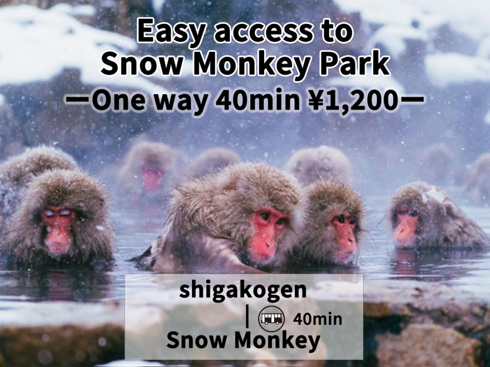 Shiga Swiss Inn 志贺高原 外观 照片